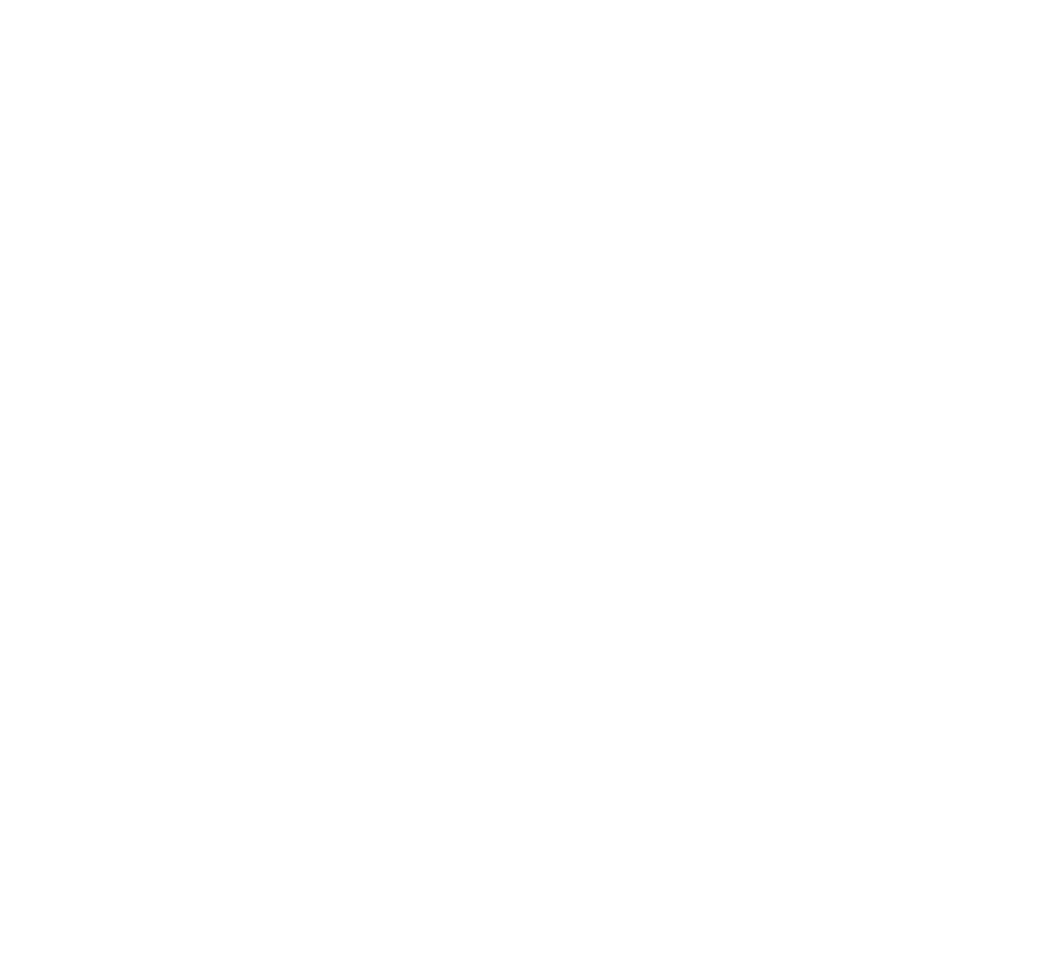 Space Drive Studio Logo Footer